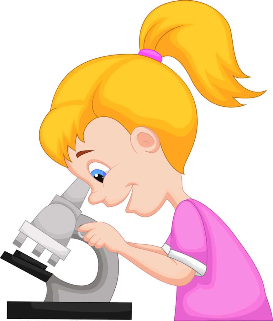 Dublin Montessori Science and Geography